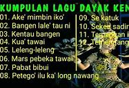 Chord Lagu Dayak Mabuk Tuak